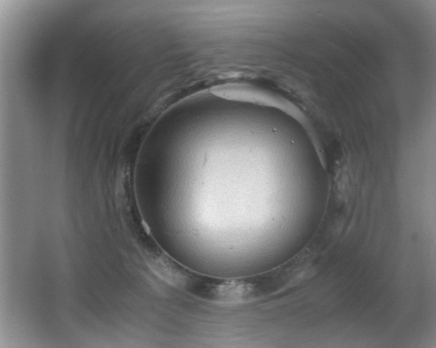 X0000066000225200603061332