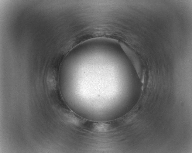 X0000066000226200603061332