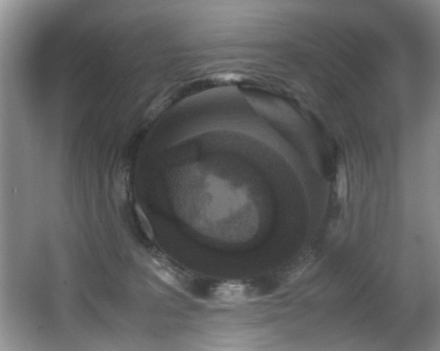 X0000066000227200603061332