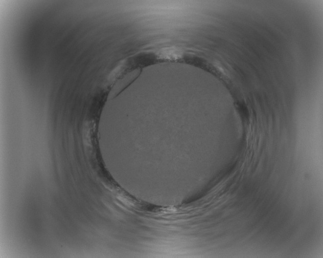 X0000066000229200603061332