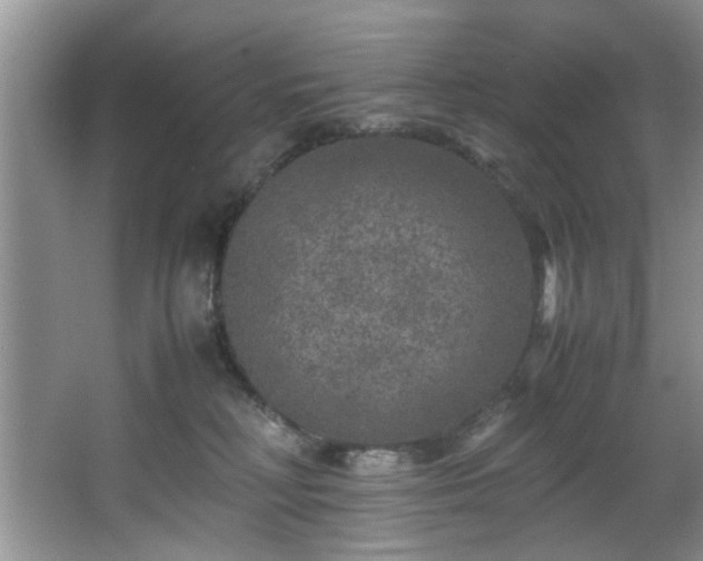 X0000066000230200603061331