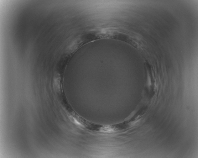 X0000066000231200603061331