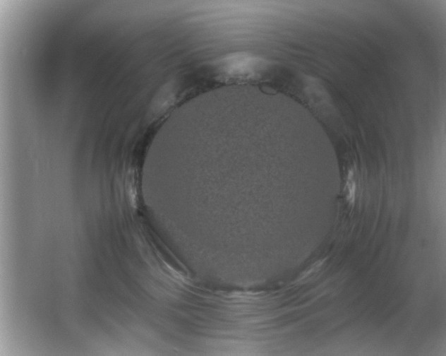 X0000066000232200603061331