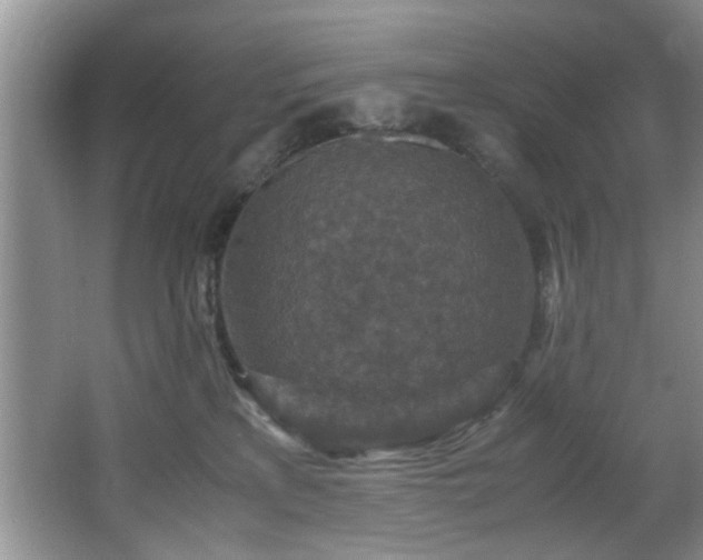 X0000066000233200603061331