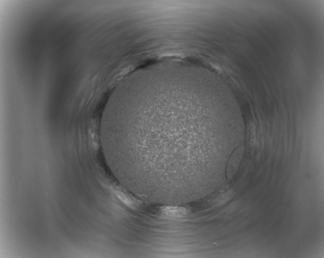 X0000066000234200603061331