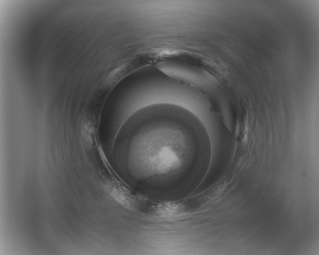 X0000066000235200603061331