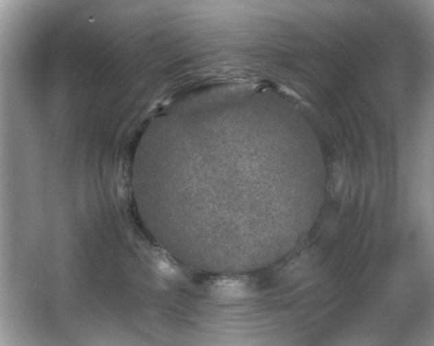 X0000066000236200603061331