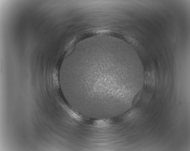 X0000066000238200603061331