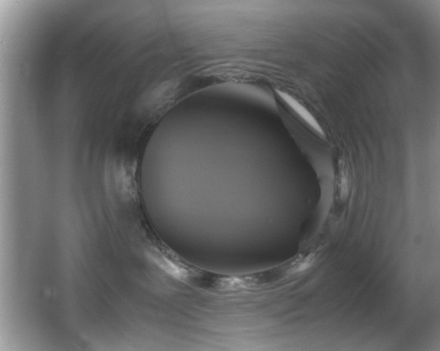 X0000066000239200603061331