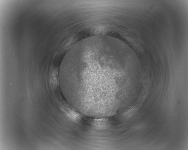 X0000066000240200603061331