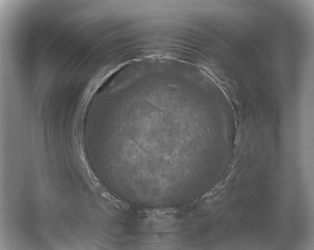 X0000066000241200603061331