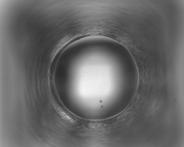 X0000066000242200603061331