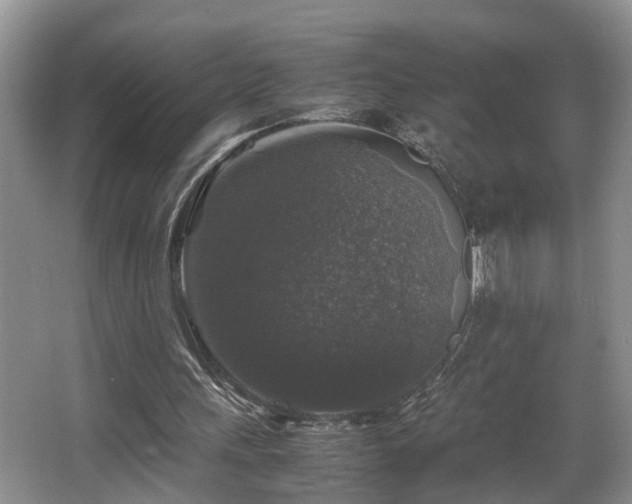 X0000066000243200603061331