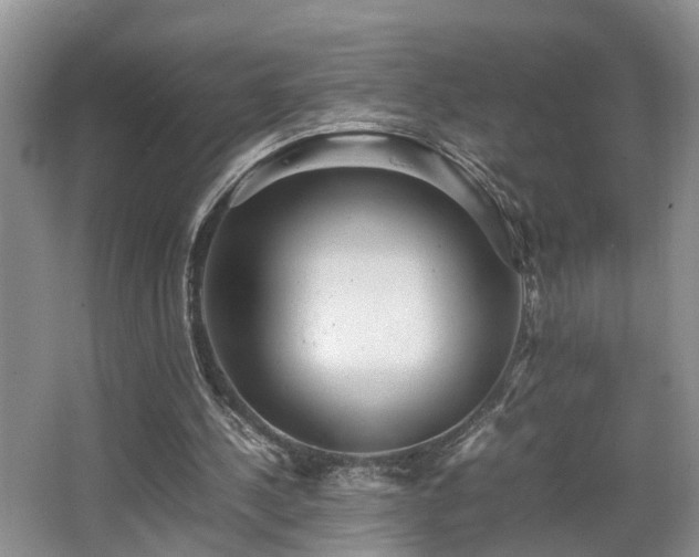 X0000066000244200603061331