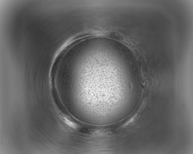 X0000066000246200603061331