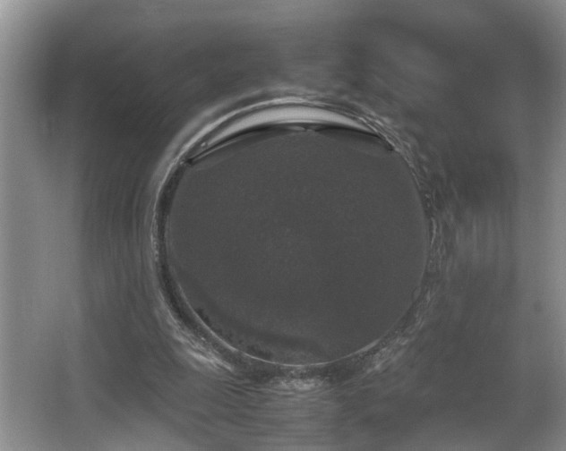 X0000066000247200603061331