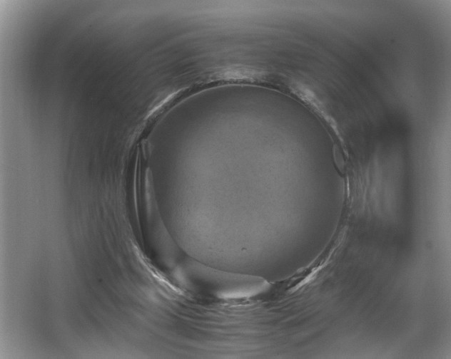 X0000066000249200603061331