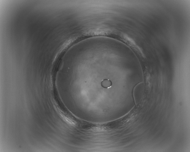 X0000066000250200603061331