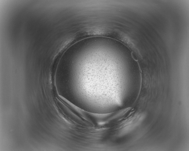 X0000066000251200603061331