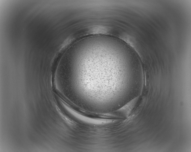 X0000066000253200603061331