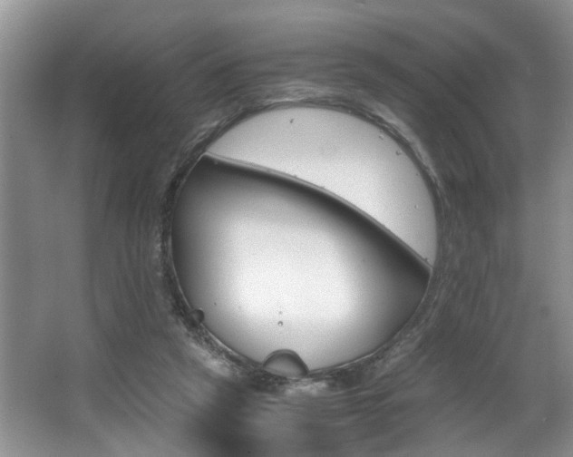 X0000066000257200603061331