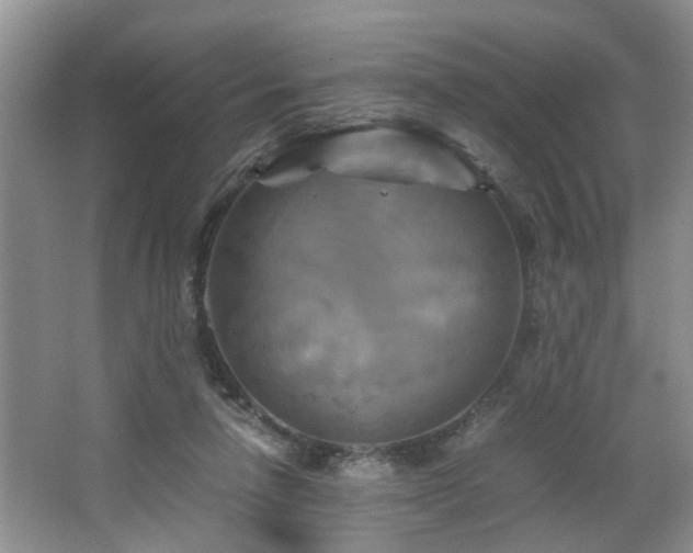 X0000066000258200603061331