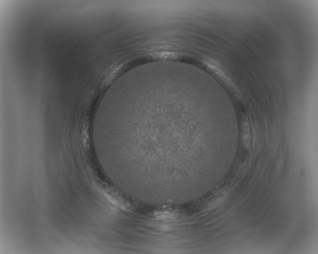 X0000066000259200603061331