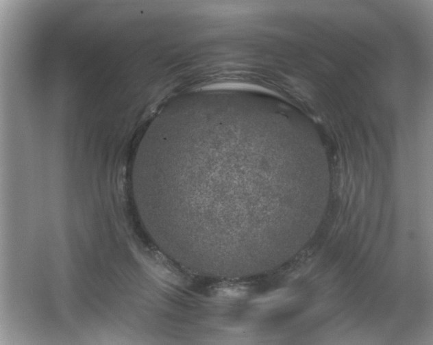 X0000066000263200603061331