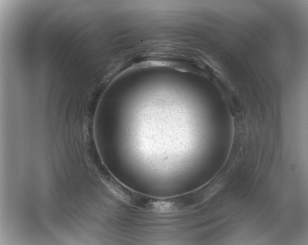 X0000066000265200603061331