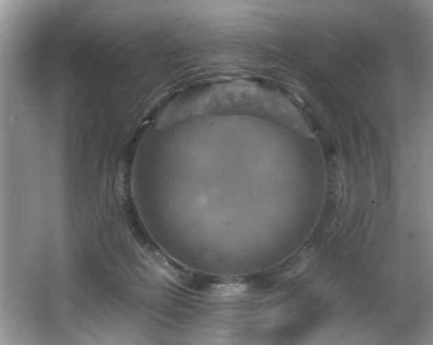 X0000066000266200603061331