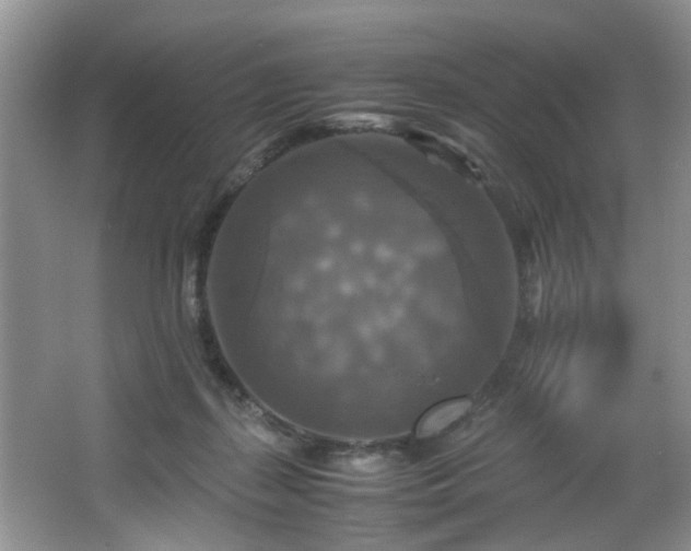 X0000066000267200603061331