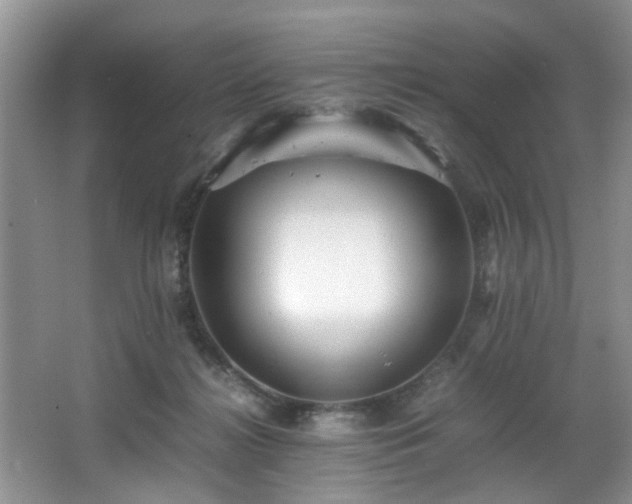 X0000066000268200603061331