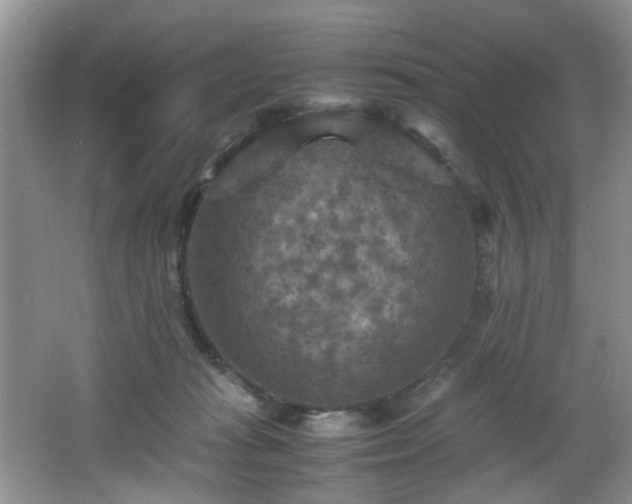 X0000066000269200603061331