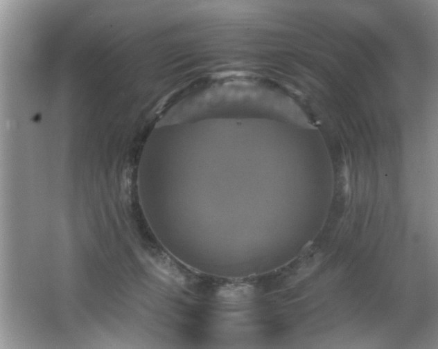 X0000066000271200603061331