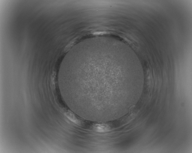 X0000066000275200603061331