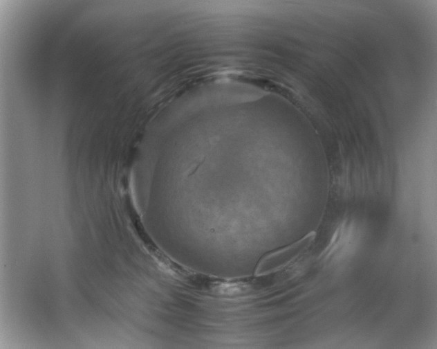 X0000066000277200603061331