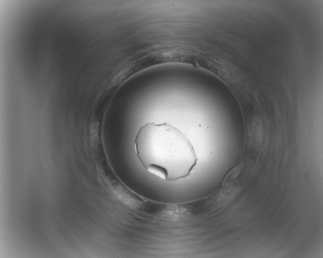 X0000066000278200603061331