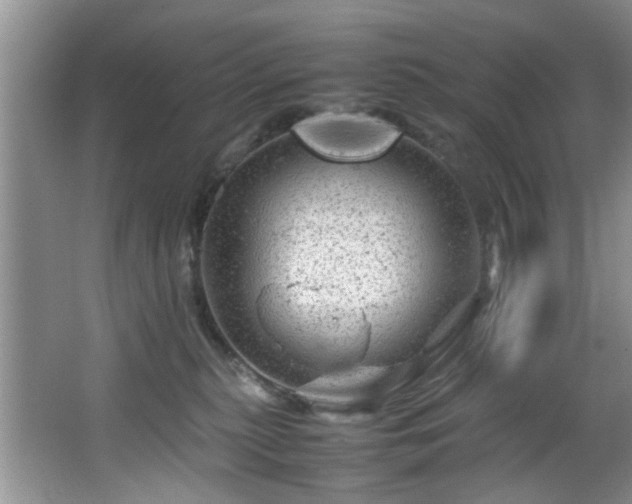 X0000066000279200603061331