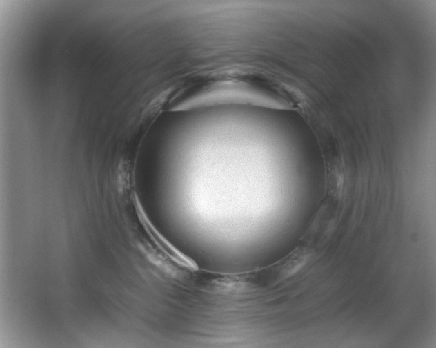 X0000066000284200603061331