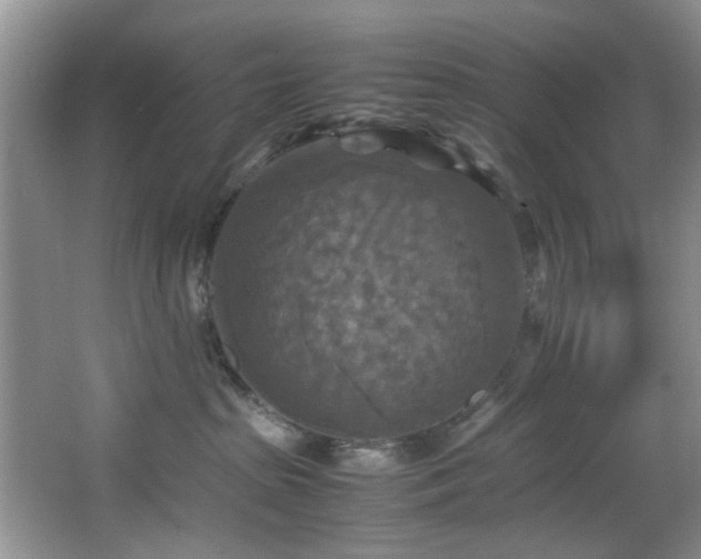 X0000066000285200603061331