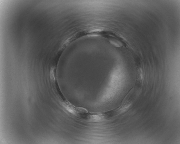 X0000066000286200603061331