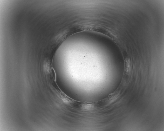 X0000066000287200603061331