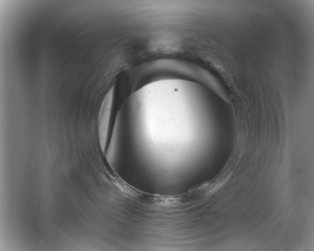 X0000066000288200603061331