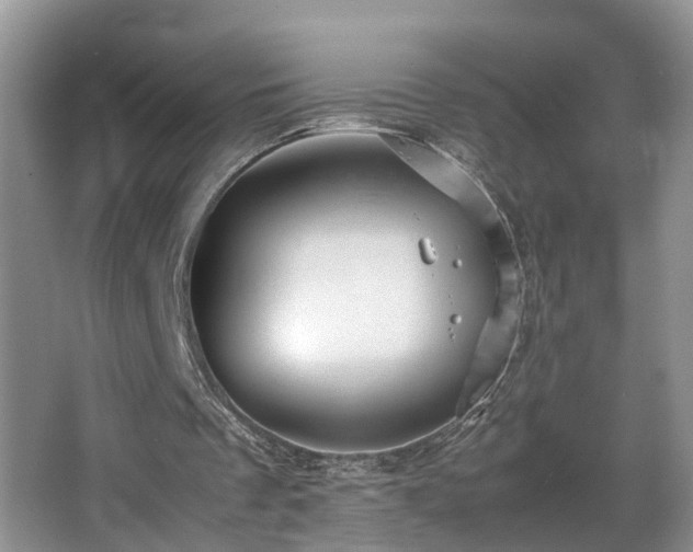 X0000066000289200603061330