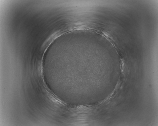 X0000066000290200603061330