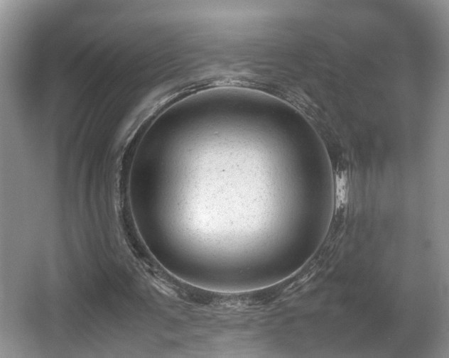 X0000066000291200603061330