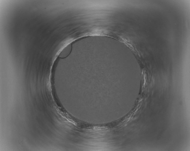 X0000066000292200603061330