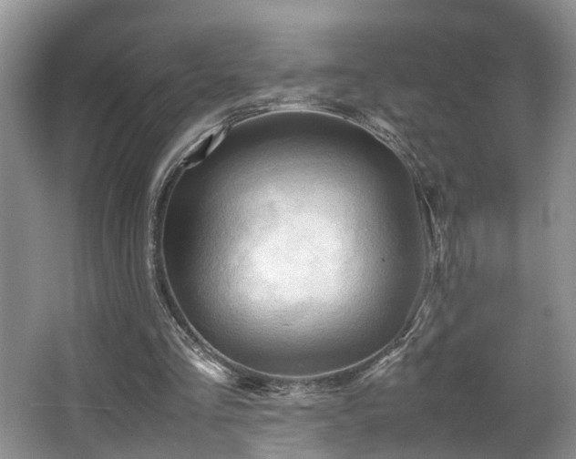 X0000066000293200603061330