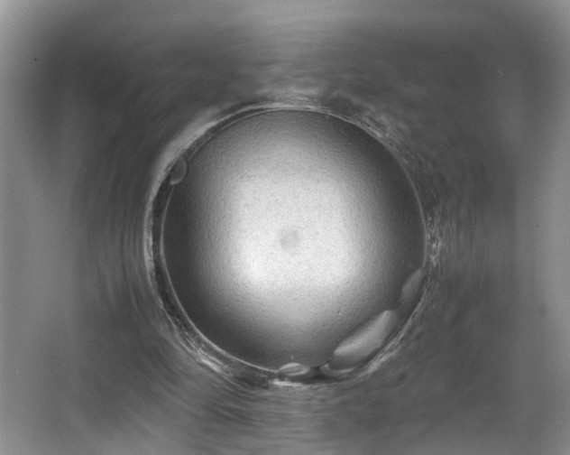 X0000066000294200603061330