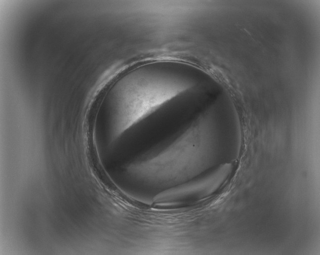 X0000066000295200603061330